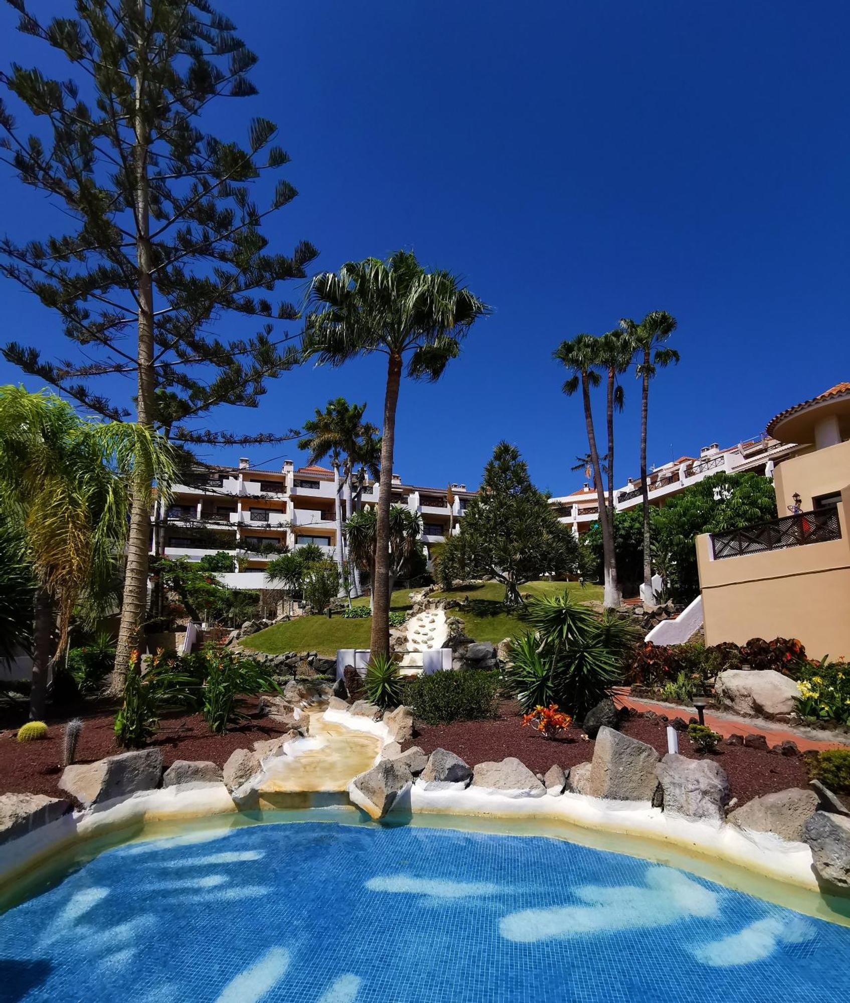 Strelitzia Apartment - Ocean View & Heated Pool Σαν Μιγκέλ ντε Αμπόνα Εξωτερικό φωτογραφία