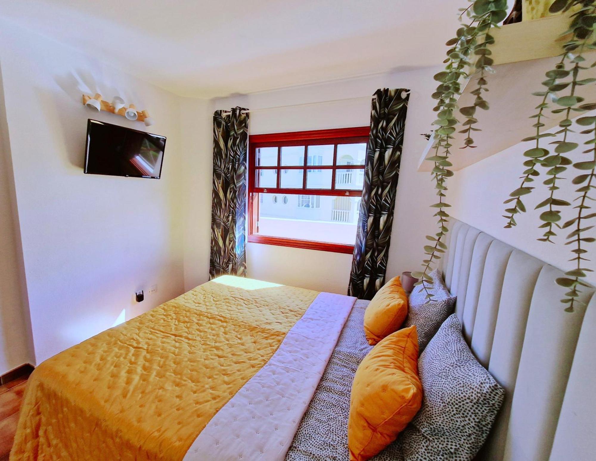Strelitzia Apartment - Ocean View & Heated Pool Σαν Μιγκέλ ντε Αμπόνα Εξωτερικό φωτογραφία